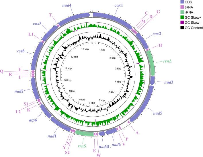 https://cdn.ncbi.nlm.nih.gov/pmc/blobs/1bb8/12247273/6a217cb9d68c/13071_2025_6851_Fig1_HTML.jpg