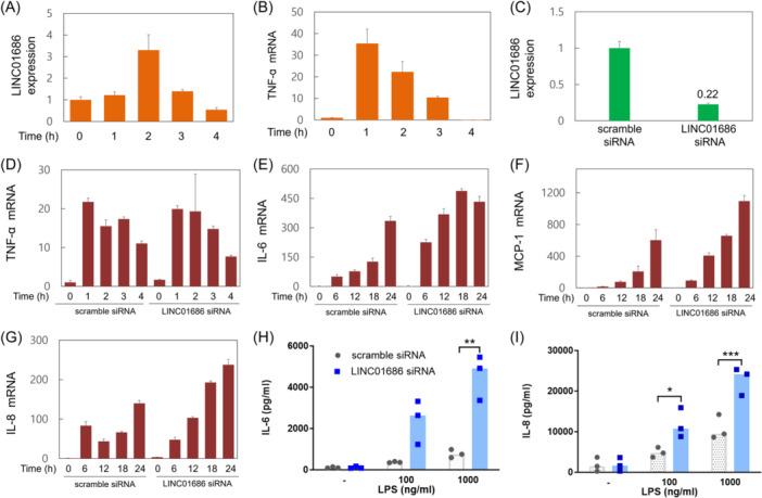 https://cdn.ncbi.nlm.nih.gov/pmc/blobs/1bbe/10996380/25b7cfb25e6b/IID3-12-e1234-g002.jpg