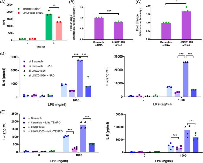 https://cdn.ncbi.nlm.nih.gov/pmc/blobs/1bbe/10996380/b74cb3d3cb59/IID3-12-e1234-g007.jpg