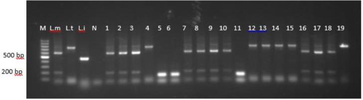 https://cdn.ncbi.nlm.nih.gov/pmc/blobs/1bc3/6737355/5030ce7d0f31/IJPA-14-231-g002.jpg