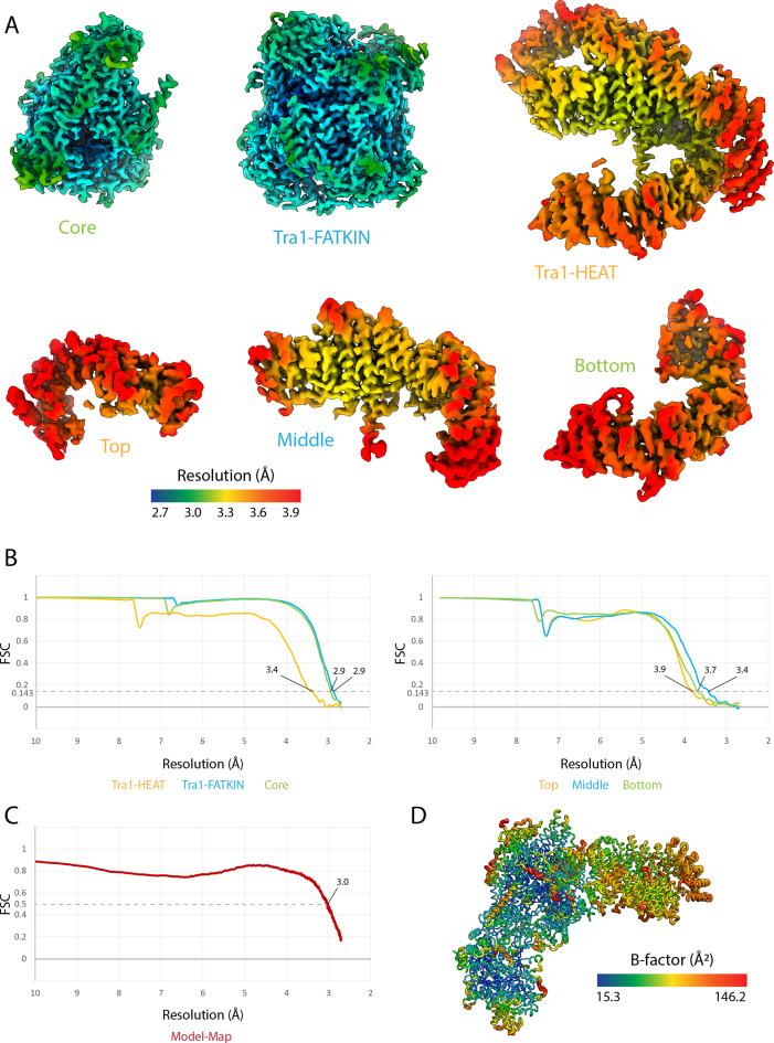 https://cdn.ncbi.nlm.nih.gov/pmc/blobs/1bc3/9643008/30dd17e3cefe/elife-81400-fig1-figsupp4.jpg
