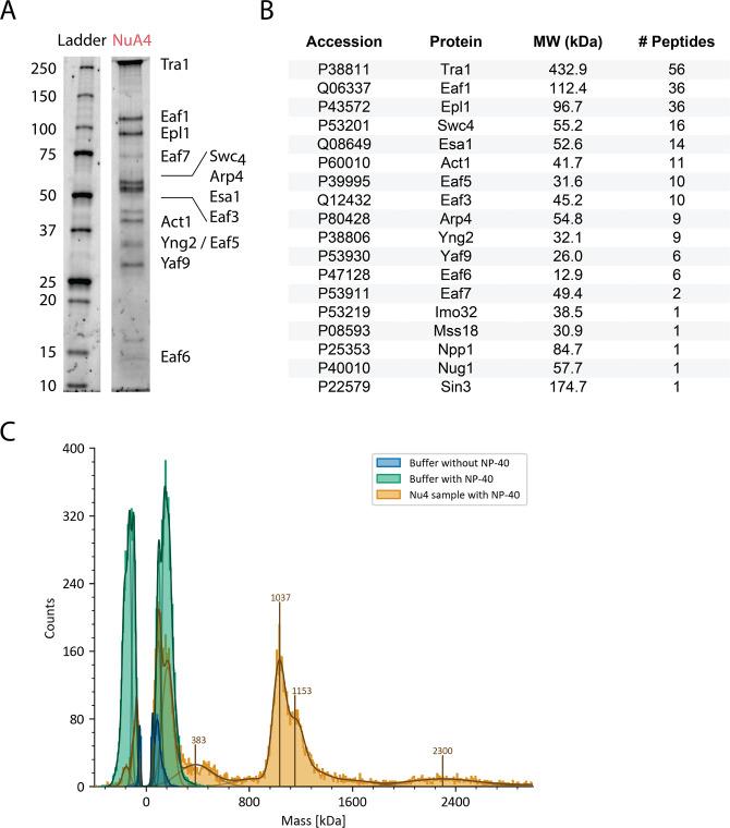 https://cdn.ncbi.nlm.nih.gov/pmc/blobs/1bc3/9643008/3e72ee191f9b/elife-81400-fig1-figsupp1.jpg