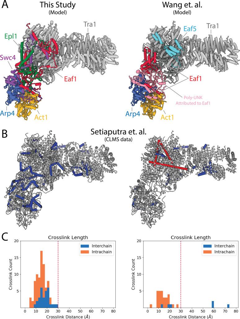 https://cdn.ncbi.nlm.nih.gov/pmc/blobs/1bc3/9643008/81c1fb4cce4f/elife-81400-fig1-figsupp7.jpg