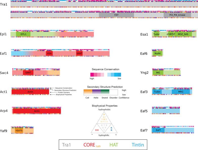 https://cdn.ncbi.nlm.nih.gov/pmc/blobs/1bc3/9643008/9673a085dcca/elife-81400-fig1-figsupp2.jpg