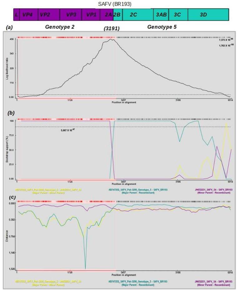 https://cdn.ncbi.nlm.nih.gov/pmc/blobs/1bc5/6213509/393b7483ff73/viruses-10-00520-g004.jpg