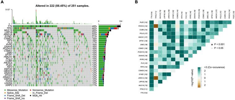 https://cdn.ncbi.nlm.nih.gov/pmc/blobs/1bc5/8299211/57536368d319/fgene-12-642608-g001.jpg