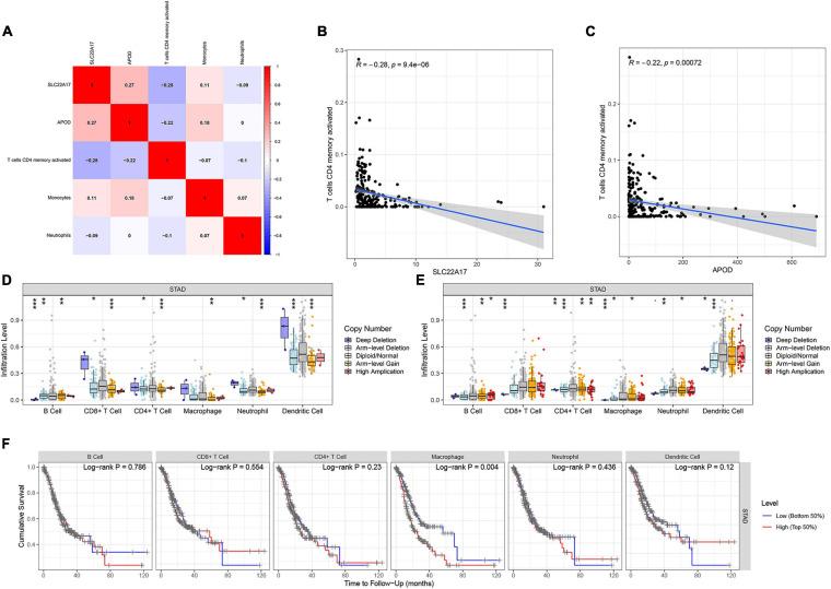 https://cdn.ncbi.nlm.nih.gov/pmc/blobs/1bc5/8299211/f5a2f8e98f16/fgene-12-642608-g007.jpg
