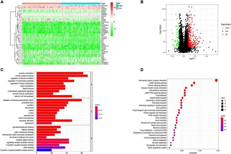 https://cdn.ncbi.nlm.nih.gov/pmc/blobs/1bc5/8299211/f6d7958030a6/fgene-12-642608-g003.jpg
