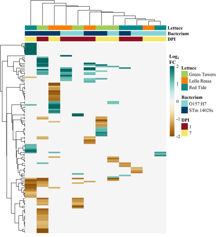 https://cdn.ncbi.nlm.nih.gov/pmc/blobs/1bc6/12076921/5ce3a7d04e45/12870_2025_6636_Fig2_HTML.jpg