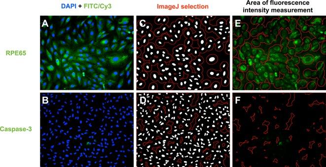 https://cdn.ncbi.nlm.nih.gov/pmc/blobs/1bc6/4254857/fde04b496cbf/40123_2014_24_Fig1_HTML.jpg