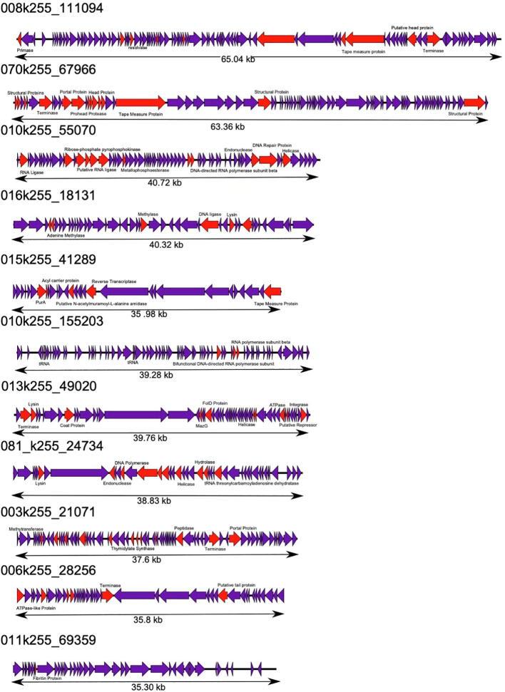 https://cdn.ncbi.nlm.nih.gov/pmc/blobs/1bc6/7691681/17538f4365c9/fx2.jpg