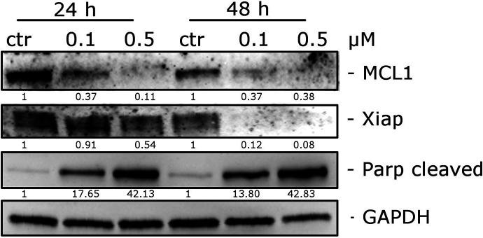 https://cdn.ncbi.nlm.nih.gov/pmc/blobs/1bc6/7901646/4491d24ac3fa/jm0c01315_0010.jpg
