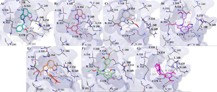 https://cdn.ncbi.nlm.nih.gov/pmc/blobs/1bc6/7901646/937b50728e2d/jm0c01315_0005.jpg