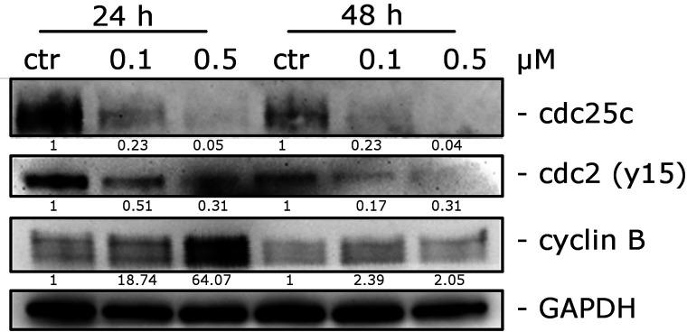 https://cdn.ncbi.nlm.nih.gov/pmc/blobs/1bc6/7901646/eacf6712a8b6/jm0c01315_0007.jpg