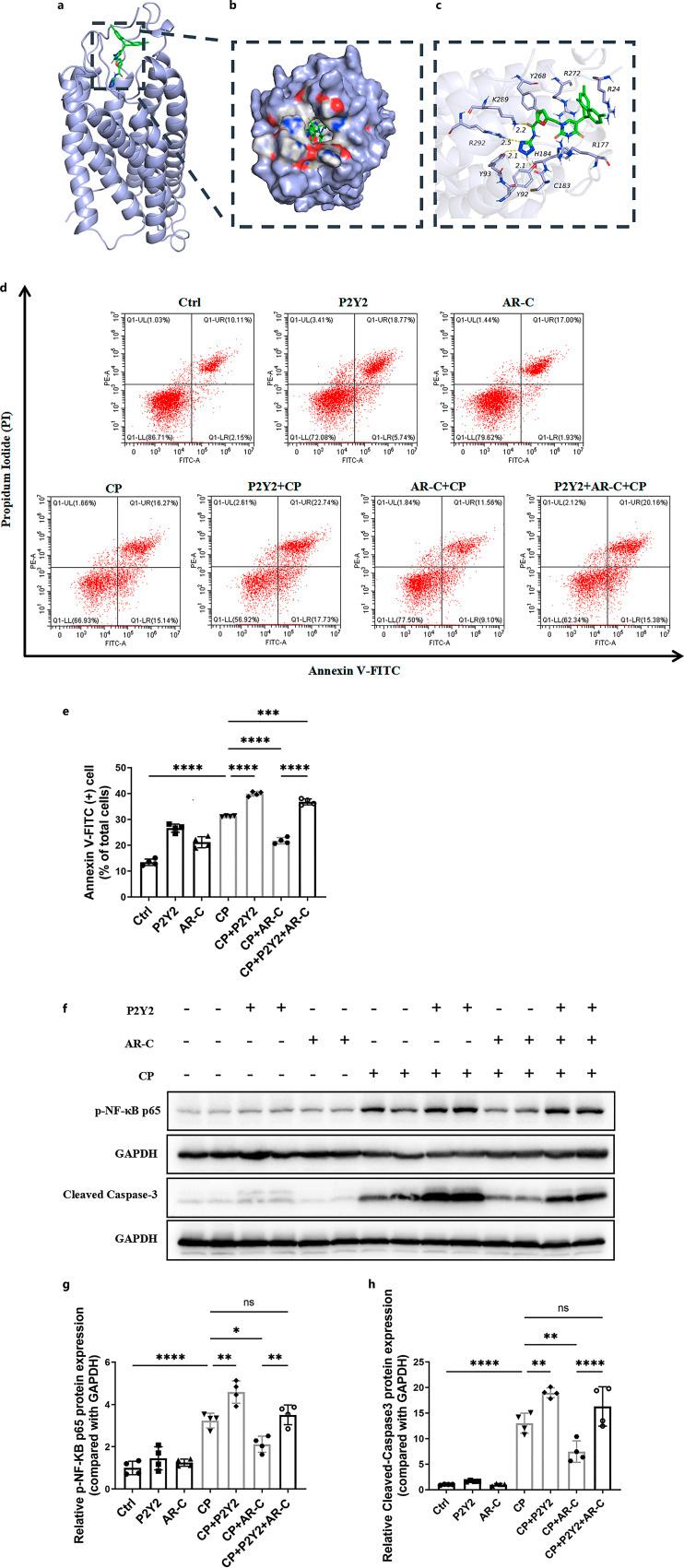 https://cdn.ncbi.nlm.nih.gov/pmc/blobs/1bc7/12185064/cf2675d20b0c/kdd-2025-0011-0001-546033_F10.jpg