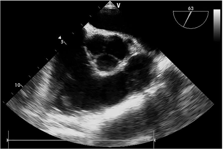https://cdn.ncbi.nlm.nih.gov/pmc/blobs/1bc7/4280482/c9bef134057c/kjae-67-425-g003.jpg