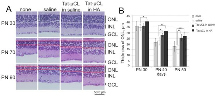 https://cdn.ncbi.nlm.nih.gov/pmc/blobs/1bc8/3739725/53decd642513/pone.0071650.g007.jpg
