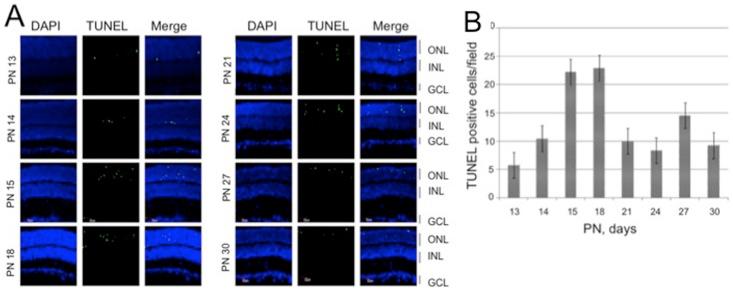 https://cdn.ncbi.nlm.nih.gov/pmc/blobs/1bc8/3739725/cf4e70d138ef/pone.0071650.g001.jpg