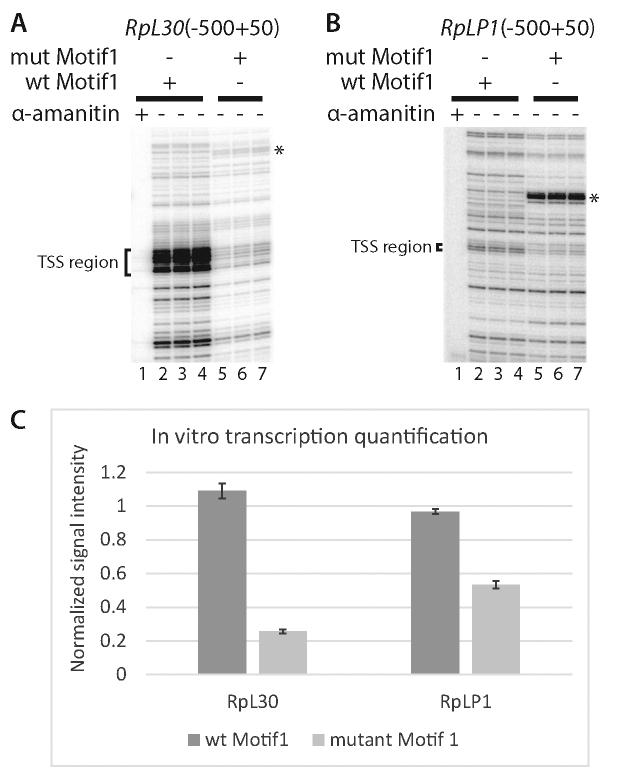 https://cdn.ncbi.nlm.nih.gov/pmc/blobs/1bc9/5737516/2f8222ee23c7/gkx676fig2.jpg