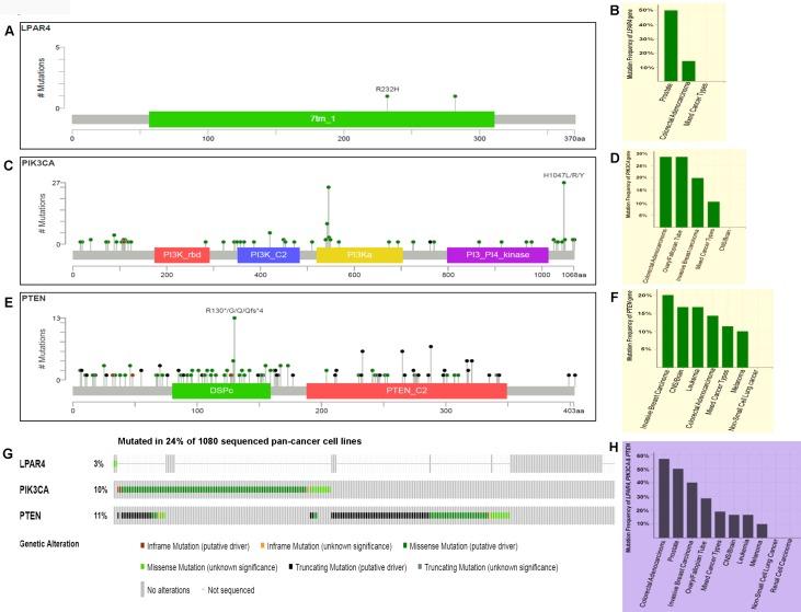 https://cdn.ncbi.nlm.nih.gov/pmc/blobs/1bc9/6609254/25e41347dc75/oncotarget-10-4107-g007.jpg
