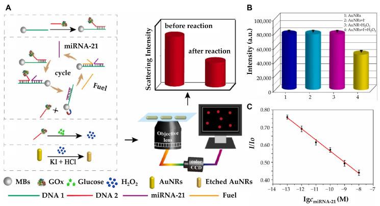 https://cdn.ncbi.nlm.nih.gov/pmc/blobs/1bca/11940778/90d8112e6975/biosensors-15-00165-g003.jpg