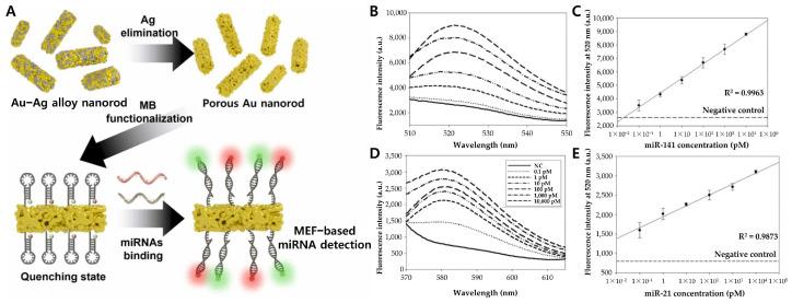 https://cdn.ncbi.nlm.nih.gov/pmc/blobs/1bca/11940778/cc4f38eca0de/biosensors-15-00165-g007.jpg