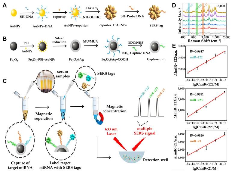 https://cdn.ncbi.nlm.nih.gov/pmc/blobs/1bca/11940778/cf9a8c2d9633/biosensors-15-00165-g005.jpg