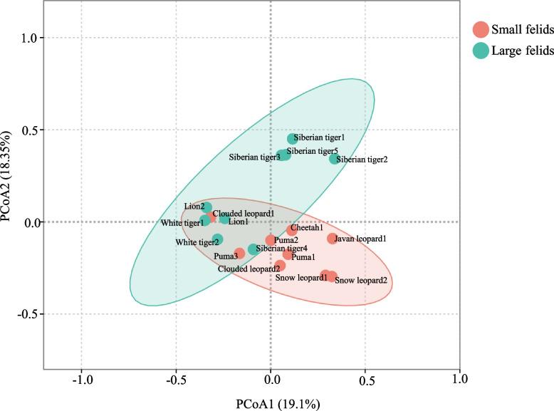 https://cdn.ncbi.nlm.nih.gov/pmc/blobs/1bca/12057243/4e46bdbf5623/12866_2025_3981_Fig4_HTML.jpg