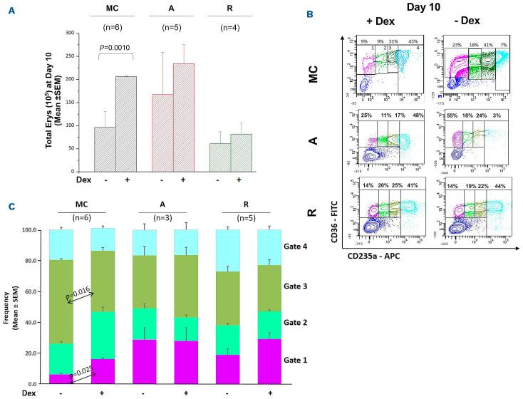 https://cdn.ncbi.nlm.nih.gov/pmc/blobs/1bd2/10071118/22d8ab7809ec/1081053.fig5.jpg