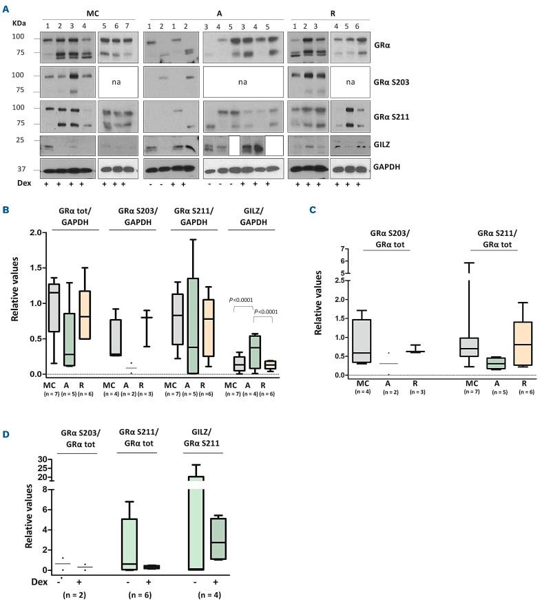 https://cdn.ncbi.nlm.nih.gov/pmc/blobs/1bd2/10071118/359148dd4487/1081053.fig6.jpg