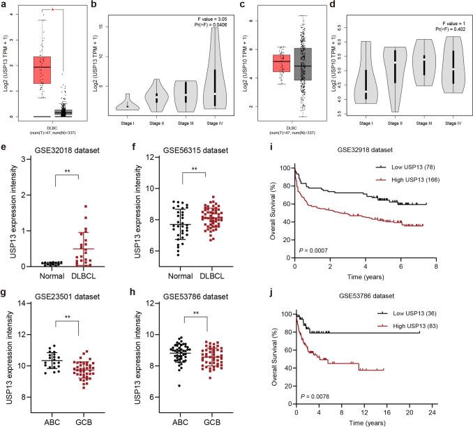 https://cdn.ncbi.nlm.nih.gov/pmc/blobs/1bd2/12378856/866dbcda94f5/262_2025_4150_Fig5_HTML.jpg