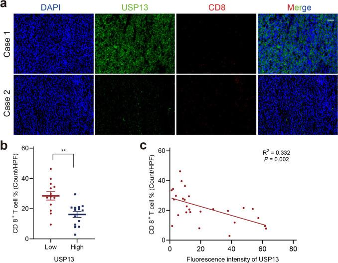 https://cdn.ncbi.nlm.nih.gov/pmc/blobs/1bd2/12378856/ea5c1460a5c6/262_2025_4150_Fig6_HTML.jpg