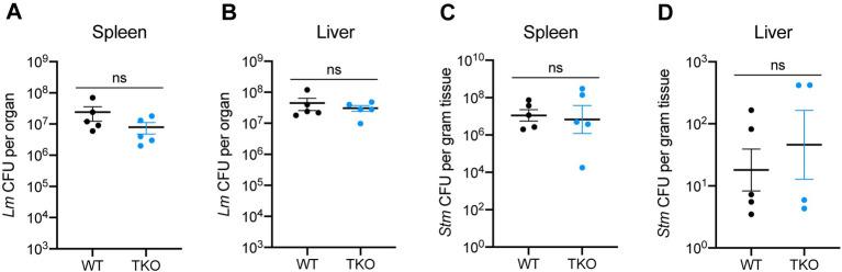 https://cdn.ncbi.nlm.nih.gov/pmc/blobs/1bd3/10325092/e4c3f59c0b32/ppat.1011088.g005.jpg