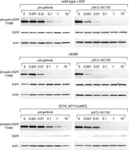 https://cdn.ncbi.nlm.nih.gov/pmc/blobs/1bd4/1297525/2fc06d35390e/pmed.0020313.g005.jpg