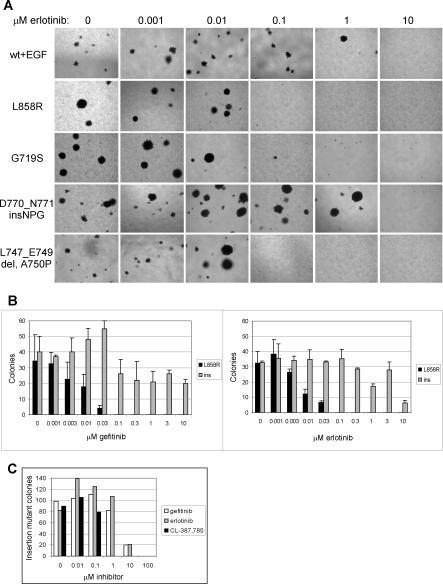 https://cdn.ncbi.nlm.nih.gov/pmc/blobs/1bd4/1297525/55f39a5cfa14/pmed.0020313.g004.jpg