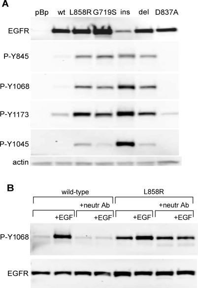 https://cdn.ncbi.nlm.nih.gov/pmc/blobs/1bd4/1297525/e0707a60b40d/pmed.0020313.g002.jpg
