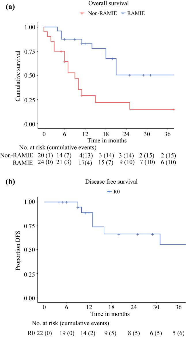 https://cdn.ncbi.nlm.nih.gov/pmc/blobs/1bd6/8043929/befb72ef0e99/10434_2020_9425_Fig2_HTML.jpg