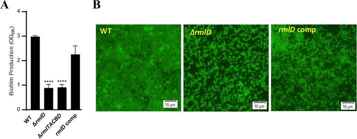 https://cdn.ncbi.nlm.nih.gov/pmc/blobs/1bd7/9603678/0d6776e21f59/spectrum.02769-22-f005.jpg