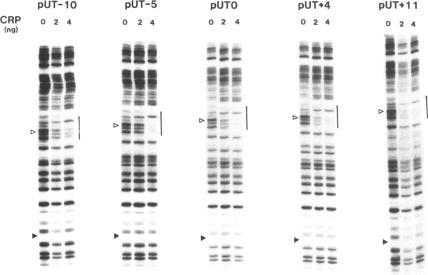 https://cdn.ncbi.nlm.nih.gov/pmc/blobs/1bd8/332499/52ad3f43ddf5/nar00205-0140-a.jpg