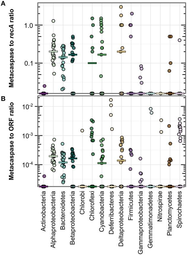 https://cdn.ncbi.nlm.nih.gov/pmc/blobs/1bd9/4933709/158ead8e2f03/fmicb-07-01043-g0003.jpg