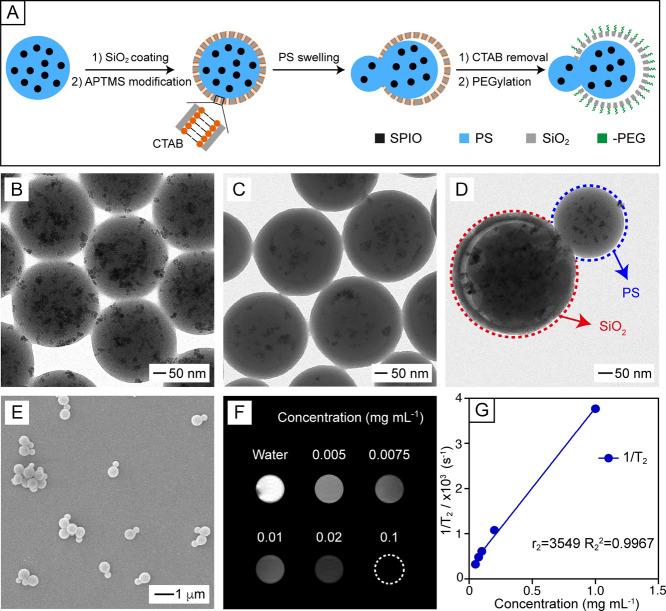 https://cdn.ncbi.nlm.nih.gov/pmc/blobs/1bdb/12006992/bfb7341d58e2/ja5c02587_0001.jpg