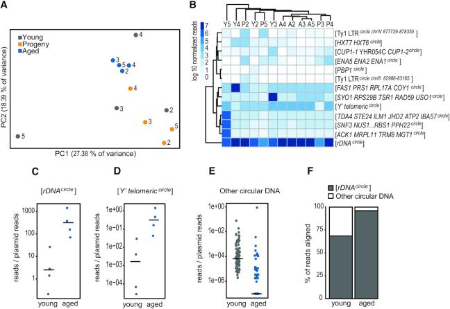 https://cdn.ncbi.nlm.nih.gov/pmc/blobs/1bdb/7430651/d2d2e3690a16/gkaa545fig5.jpg