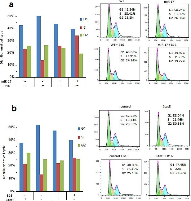 https://cdn.ncbi.nlm.nih.gov/pmc/blobs/1bdd/4278315/b0e22e1123ff/oncoscience-01-0531-g006.jpg