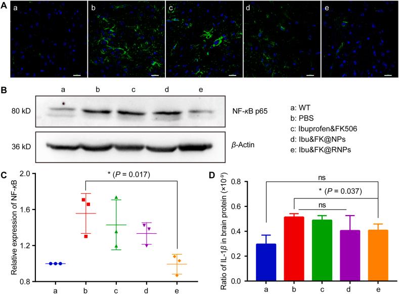 https://cdn.ncbi.nlm.nih.gov/pmc/blobs/1bdd/9279705/1540c02ef76a/gr7.jpg