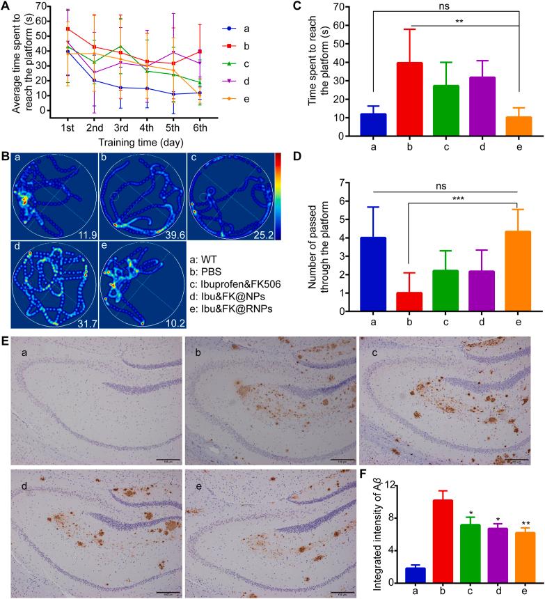 https://cdn.ncbi.nlm.nih.gov/pmc/blobs/1bdd/9279705/2e53e9eb4253/gr5.jpg