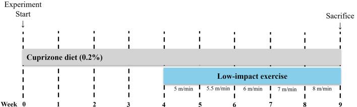 https://cdn.ncbi.nlm.nih.gov/pmc/blobs/1bde/12141394/6034b3116cbe/11064_2025_4441_Fig1_HTML.jpg