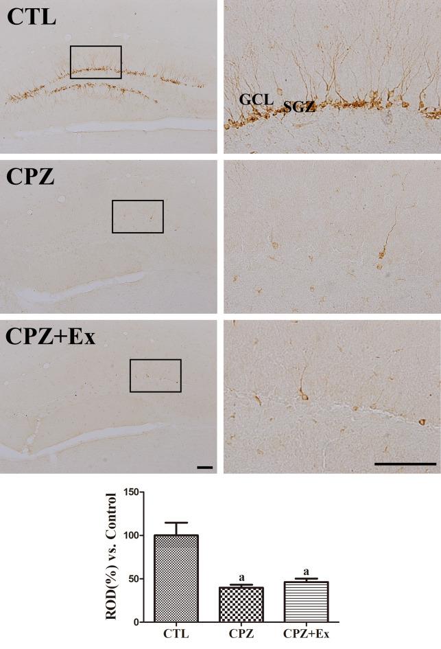https://cdn.ncbi.nlm.nih.gov/pmc/blobs/1bde/12141394/7bbbebce502d/11064_2025_4441_Fig7_HTML.jpg