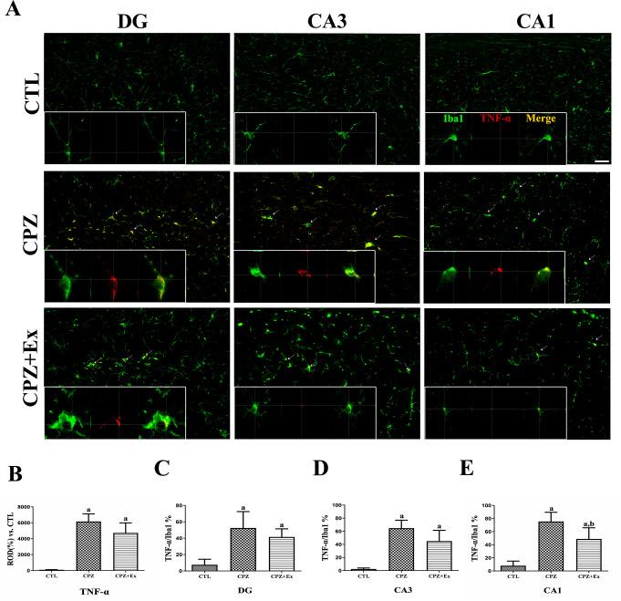 https://cdn.ncbi.nlm.nih.gov/pmc/blobs/1bde/12141394/a1e8f35c9261/11064_2025_4441_Fig5_HTML.jpg