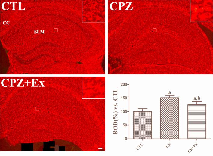 https://cdn.ncbi.nlm.nih.gov/pmc/blobs/1bde/12141394/cf955efd925c/11064_2025_4441_Fig4_HTML.jpg