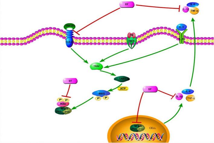 https://cdn.ncbi.nlm.nih.gov/pmc/blobs/1bdf/8740221/4e9f4890681e/fnins-15-803885-g003.jpg